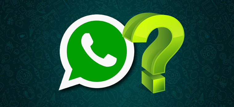 Что такое WhatsApp и как он работает